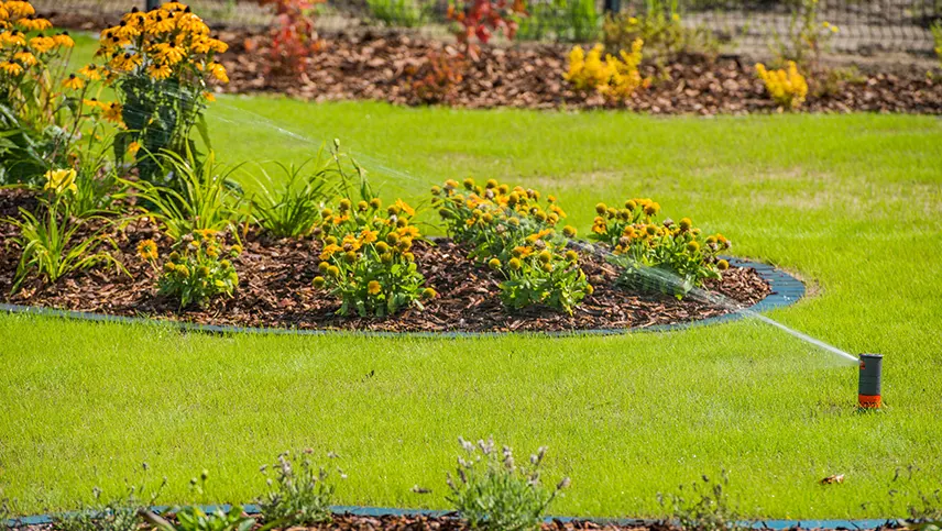 irrigation-and-sprinkler-installation