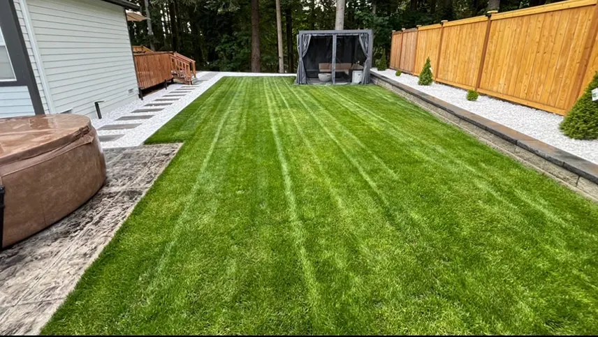 new-lawn-installation
