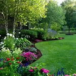 lawn-maintenance.php